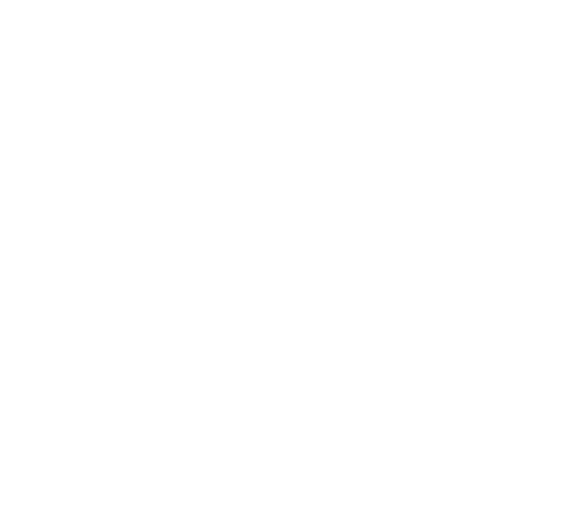 CIO Wealth Strategies