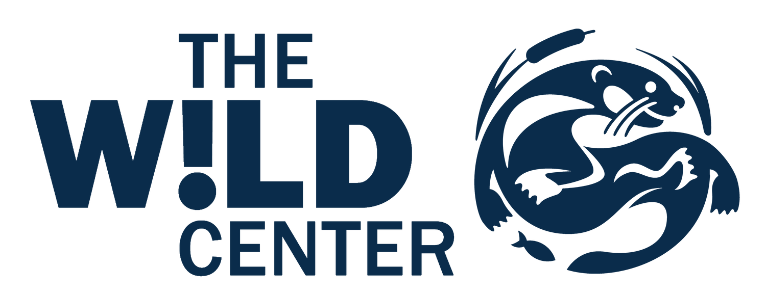 The Wild Center