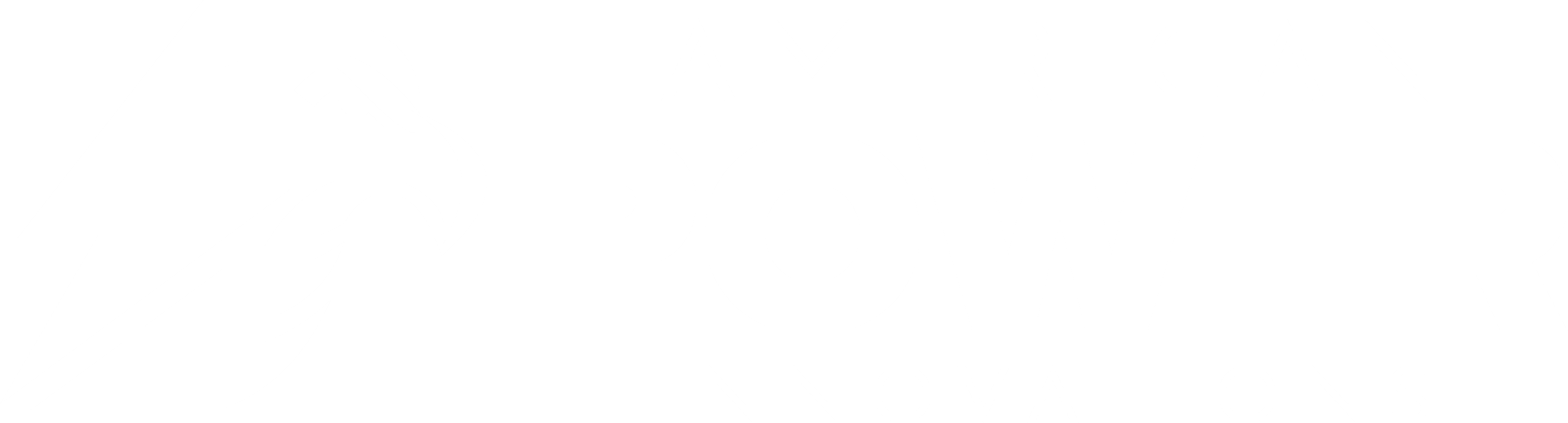 American Power Innovations