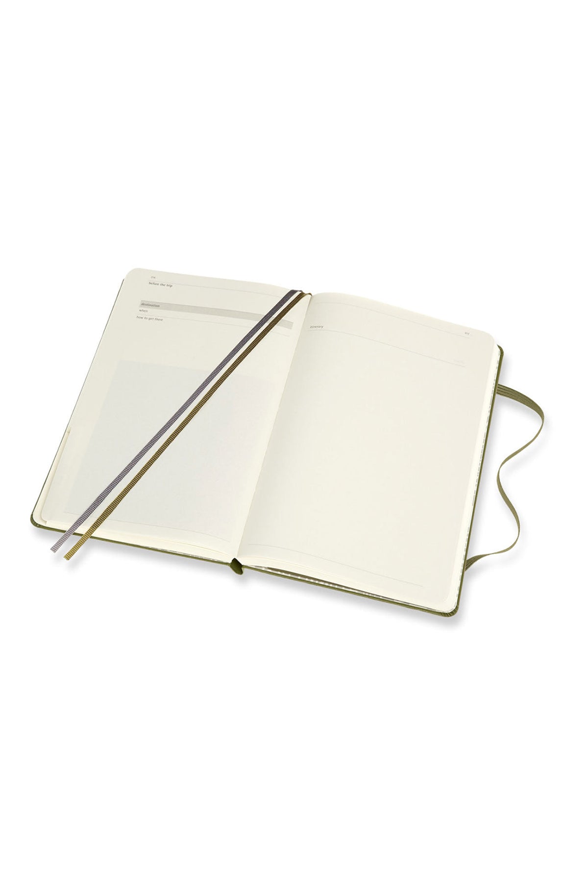 Moleskine Passion Journal Travel Elm Green