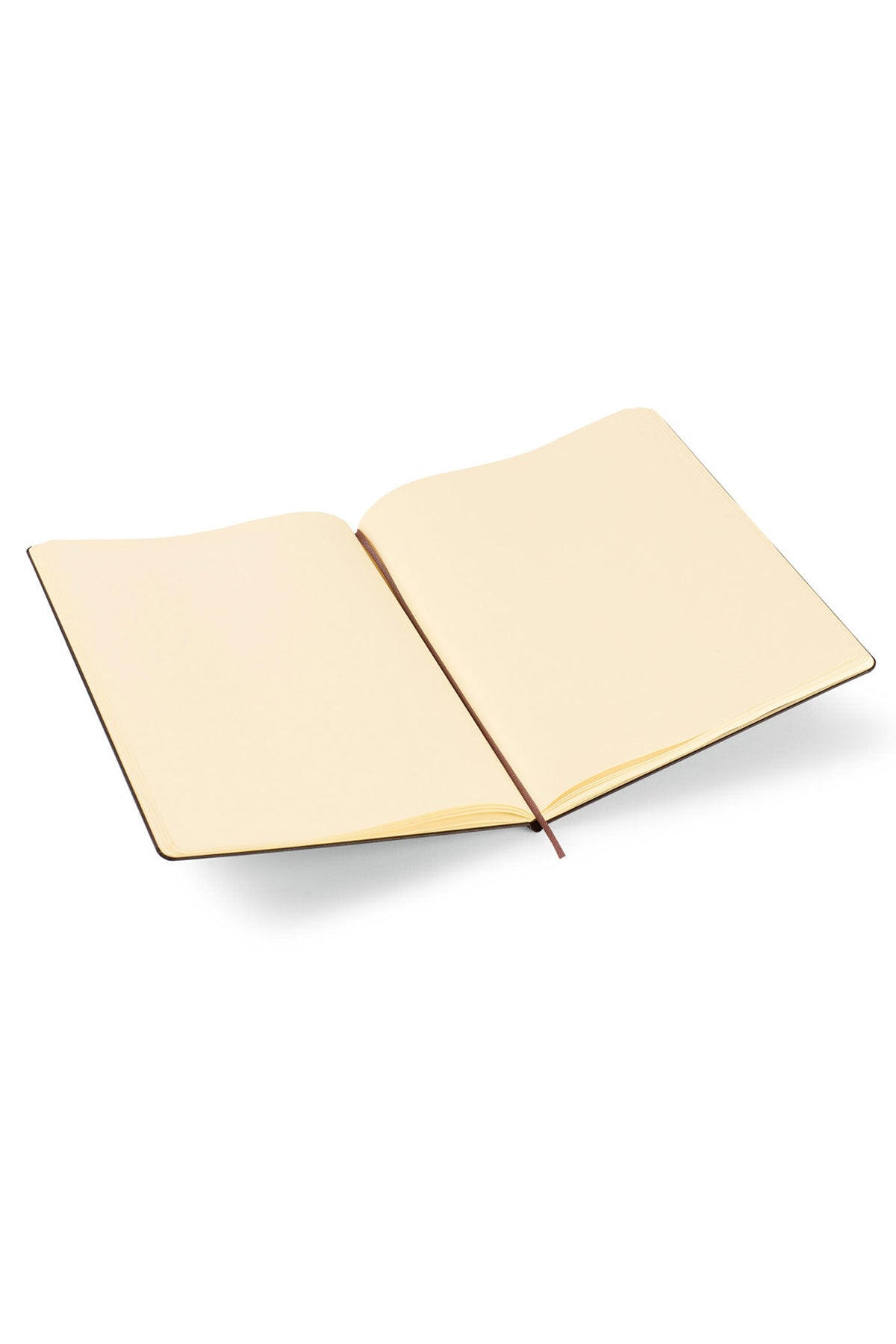 Moleskine Hard Cover Ruled XX Large Notebook Black