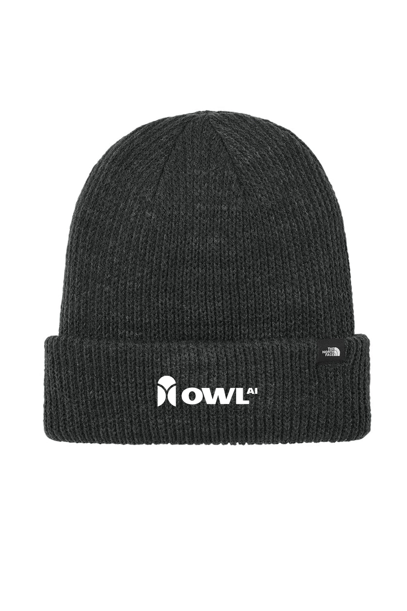 The North Face Truckstop Beanie, TNF Black Heather [Owl AI]