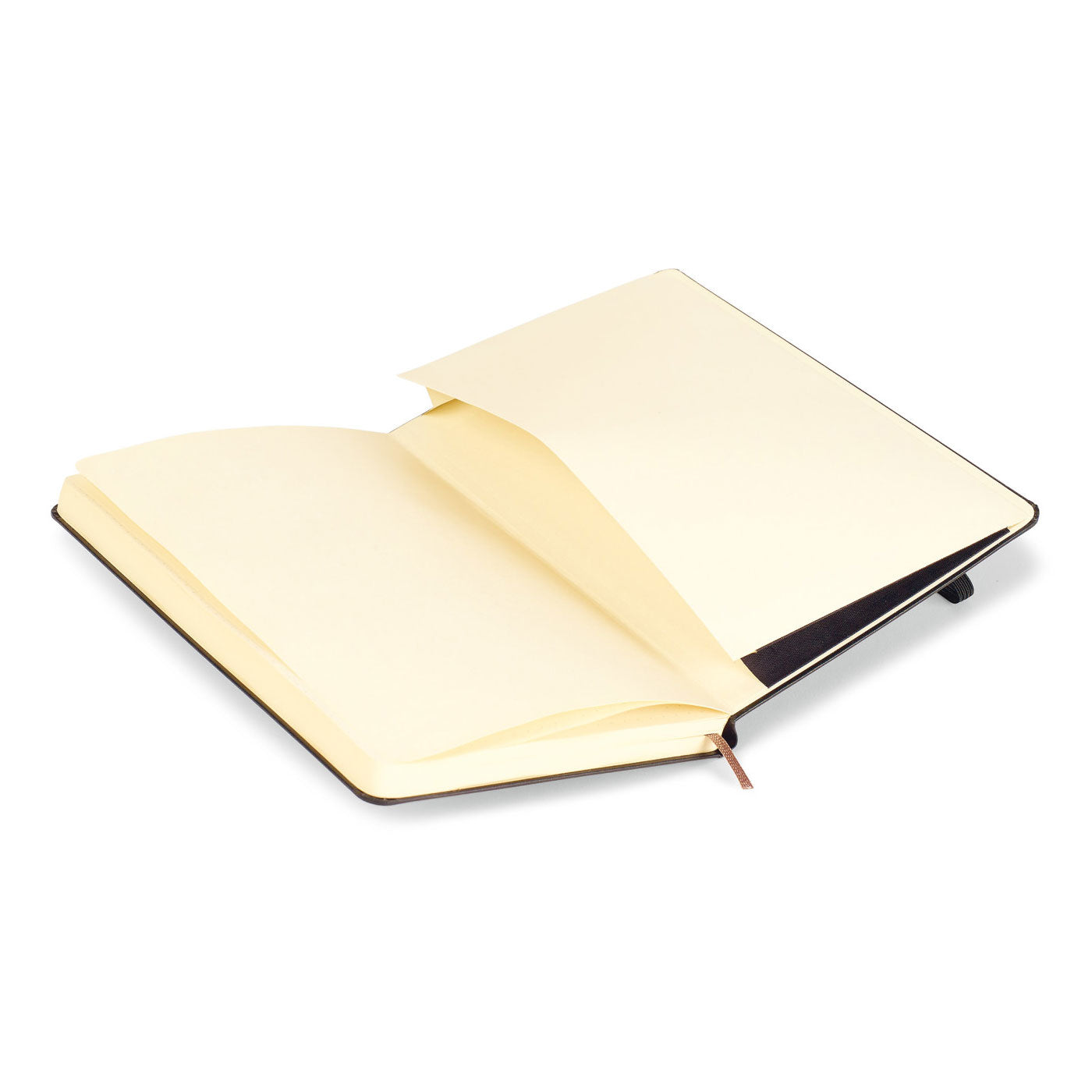 Moleskine Hard Cover Dotted Large Notebook Black [The Vertex Project]