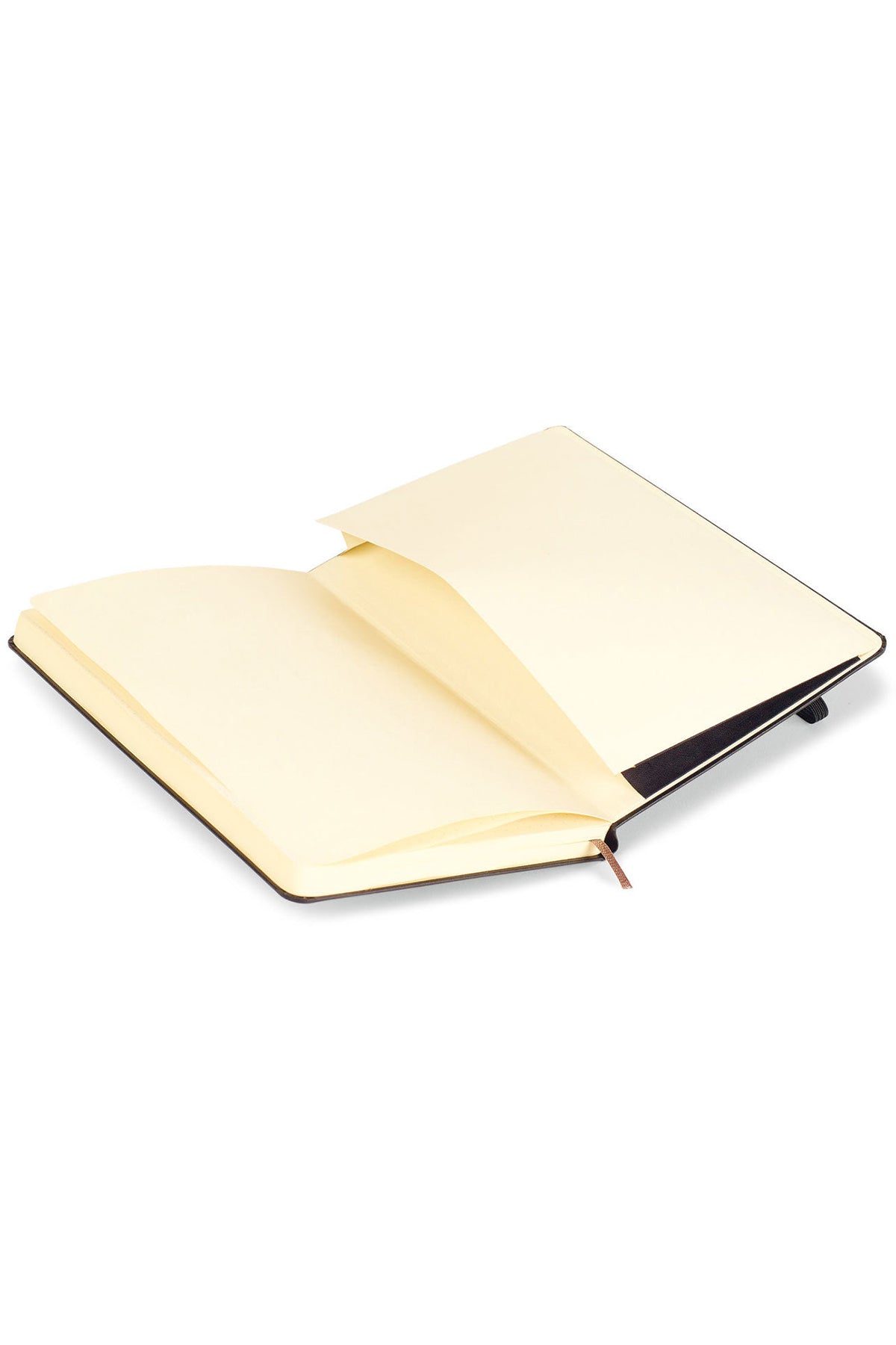 Moleskine Hard Cover Dotted Large Notebook Black