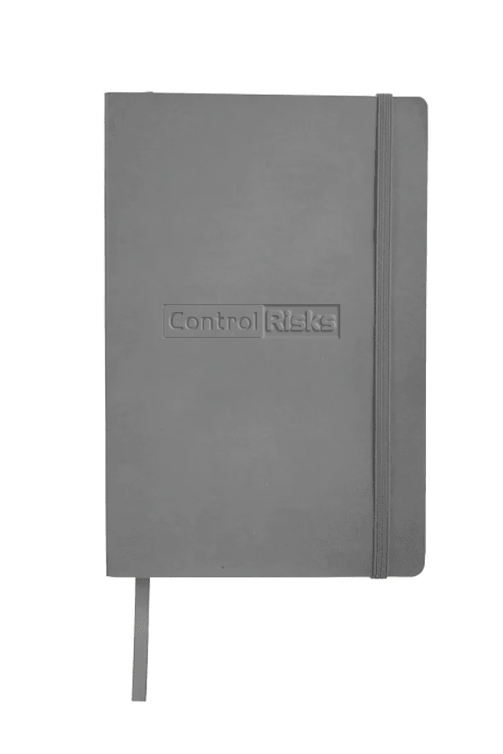 Pedova UltraHyde Soft Bound JournalBook, Gray - Control Risk [Control Risks]
