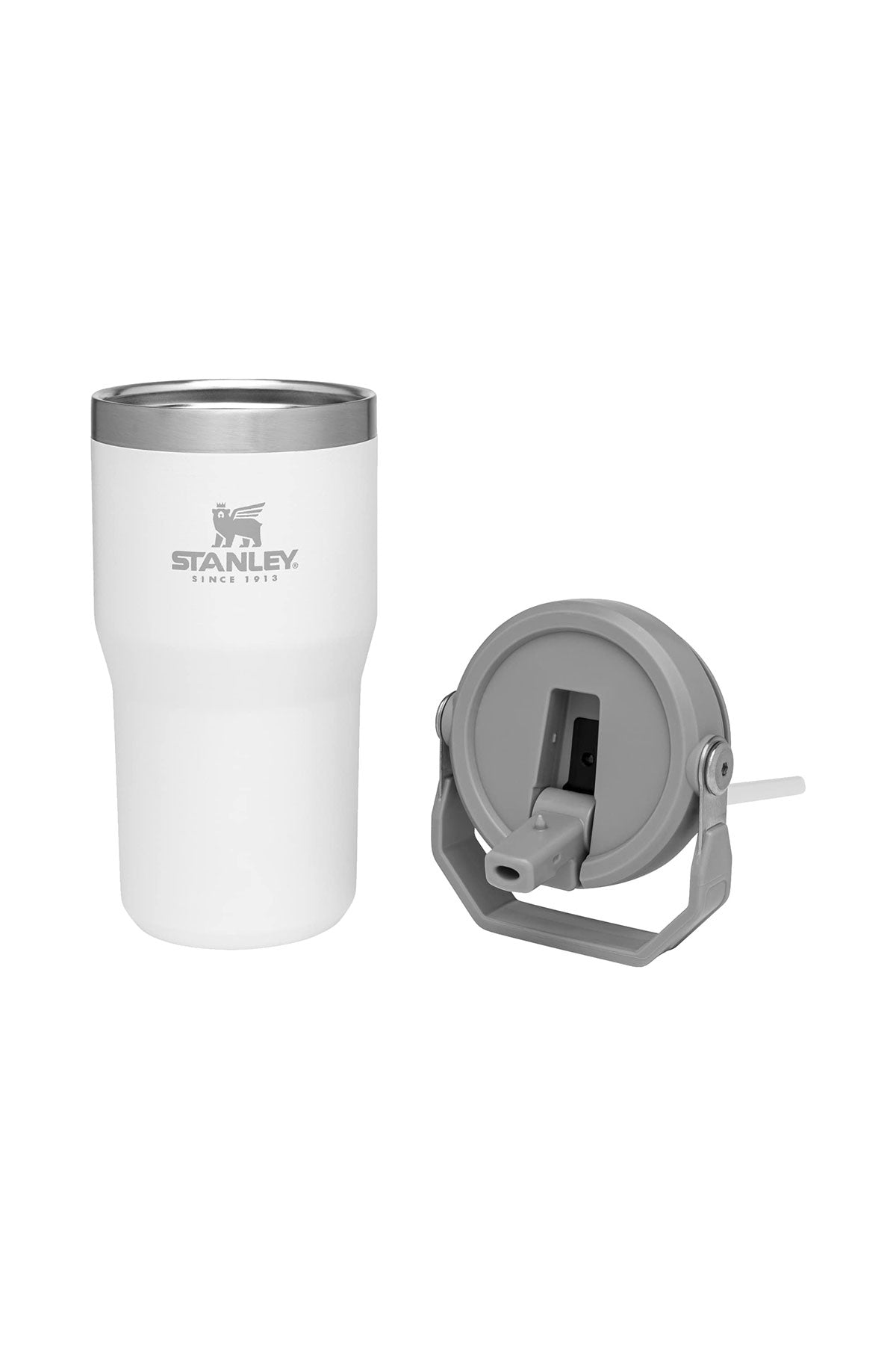 Stanley IceFlow 1.0 Flip Straw Custom Tumbler 20oz, Polar [Hydra Host]