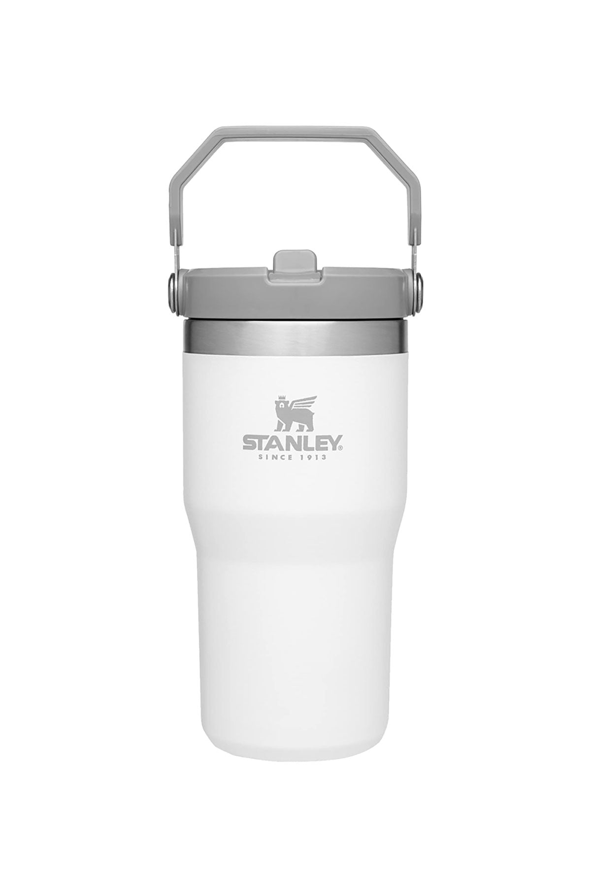 Stanley IceFlow 1.0 Flip Straw Custom Tumbler 20oz, Polar [Hydra Host]